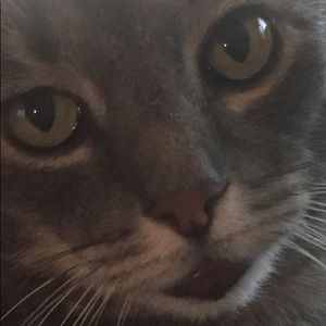 Meet your Posher, Carrie